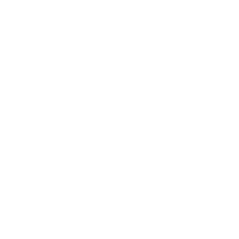 Felgilab logo